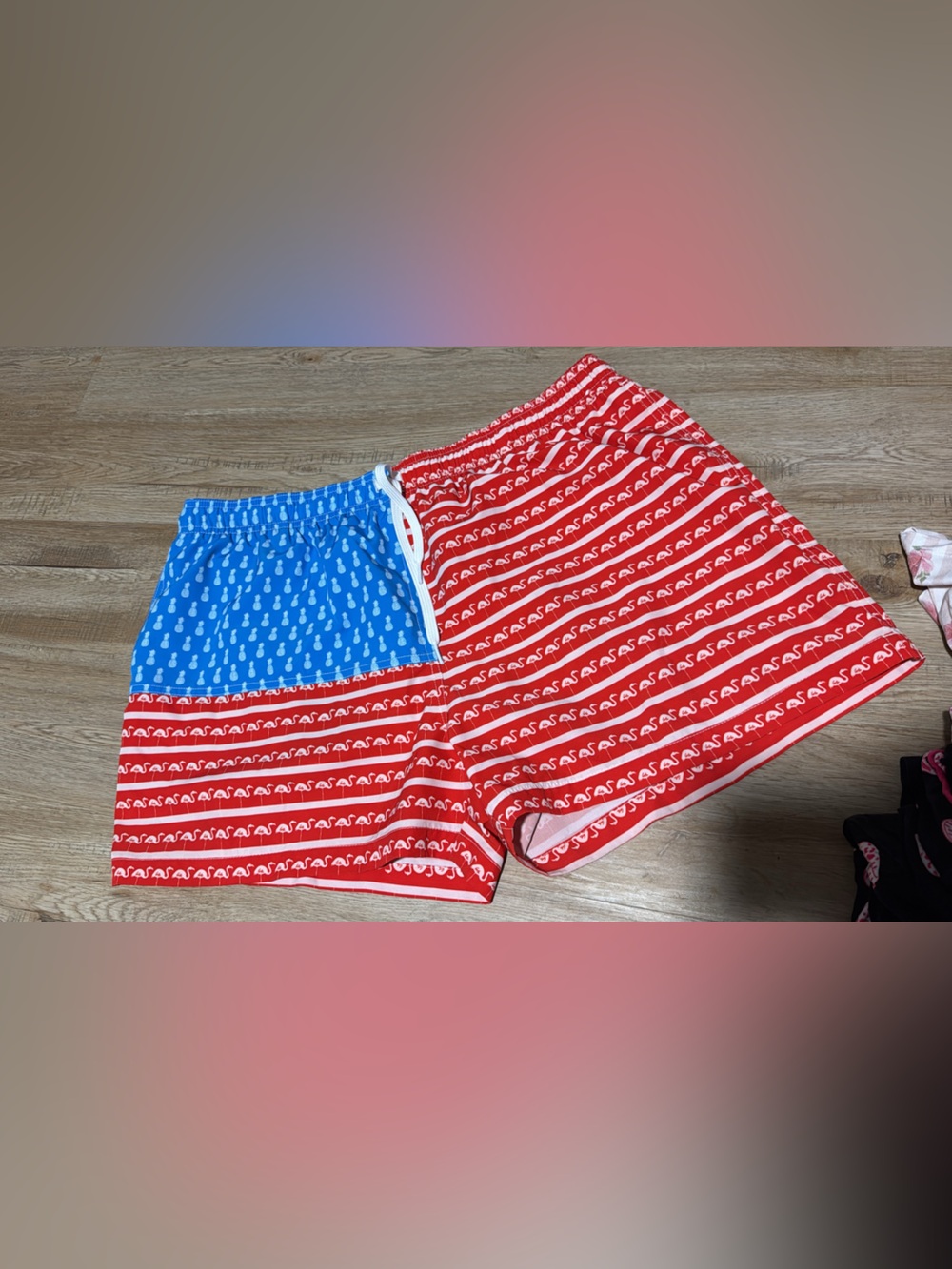 Chubbie’s Swim Trunks “The Fruited Plains”